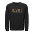 Jesus, The Way The Truth The Life Crewneck Sweatshirt