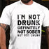Men's I'm Not Drunk Definitely Not Sober But Not Drunk Funny Men's T-shirt